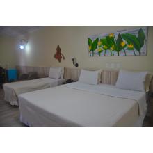 Apartamento Master
